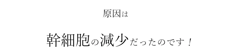 幹細胞の減少だったのです！