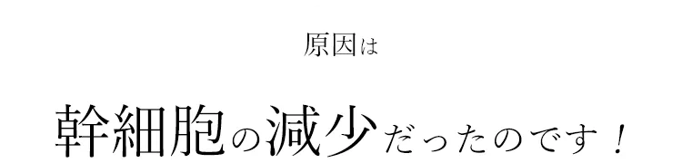 幹細胞の減少だったのです！